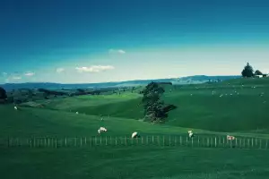 Nový Zéland